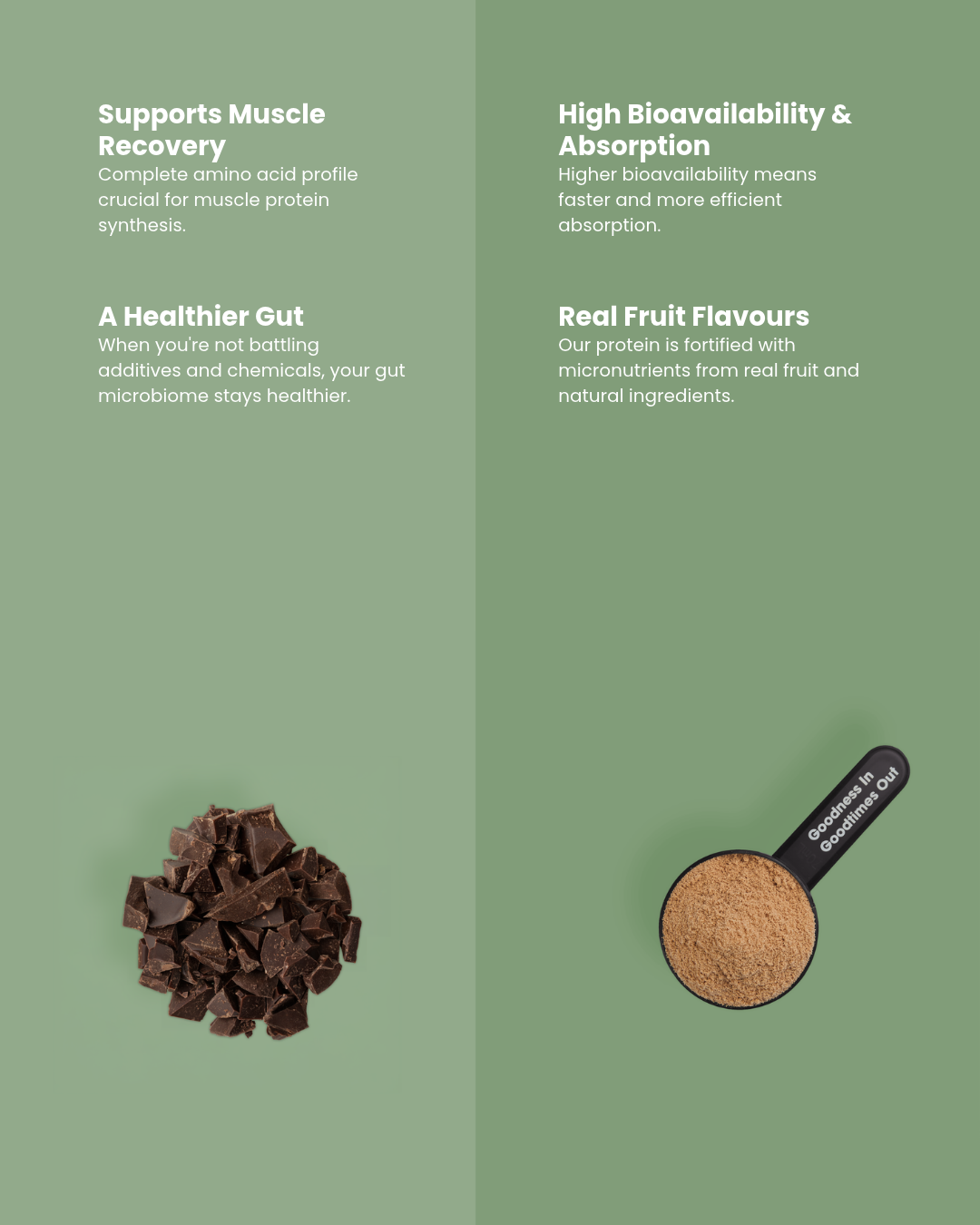Plant Protein Isolate + Organic Chocolate